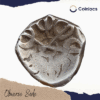1/8 Satamana Pushkarasarin 6 BC Silver coin, Gandhara Janapada, Collectible - Image 2