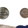 25 Paise Forestry For Development 1985 Cupro-Nickel Commemorative Coin, Republic India Decimal Series, Collectible. - Image 4