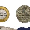 1 Tanka Ghiyasuddin Azam Shah (ND 1390-1410 CE) Firuzabad Mint Silver Historic Coin, Ilyas Shahi Dynasty of Bengal Sultanate, Collectible. - Image 4