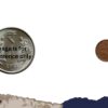 1 Cash Bala Rama Varma II (ND 1939-40 CE) Bronze Old Coin, Princely State of Travancore, Collectible - Image 4